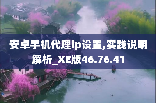 安卓手机代理ip设置,实践说明解析_XE版46.76.41