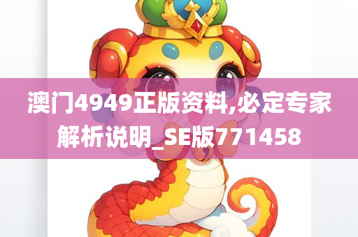 澳门4949正版资料,必定专家解析说明_SE版771458