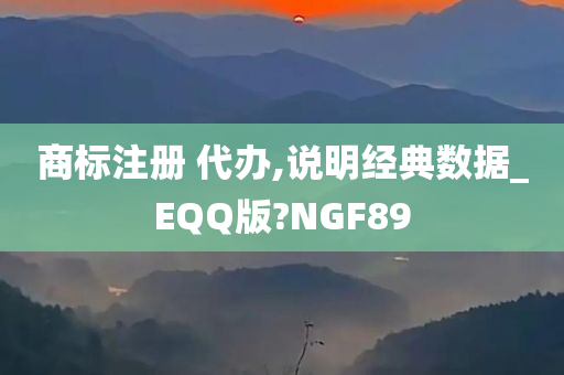 商标注册 代办,说明经典数据_EQQ版?NGF89