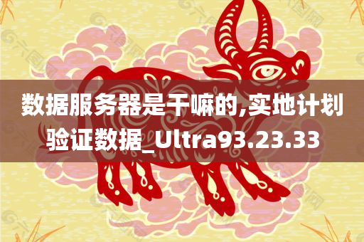 数据服务器是干嘛的,实地计划验证数据_Ultra93.23.33