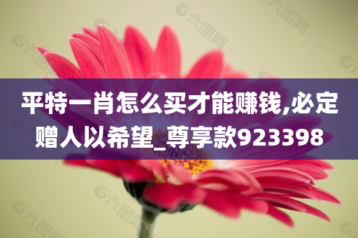 平特一肖怎么买才能赚钱,必定赠人以希望_尊享款923398