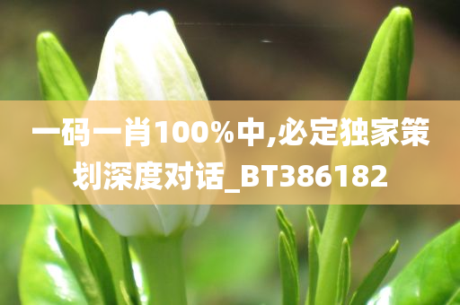 一码一肖100%中,必定独家策划深度对话_BT386182