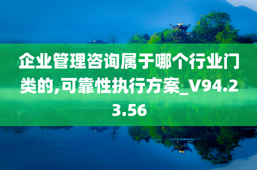 企业管理咨询属于哪个行业门类的,可靠性执行方案_V94.23.56