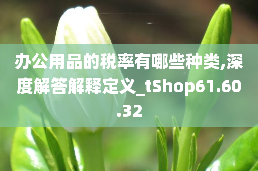 办公用品的税率有哪些种类,深度解答解释定义_tShop61.60.32