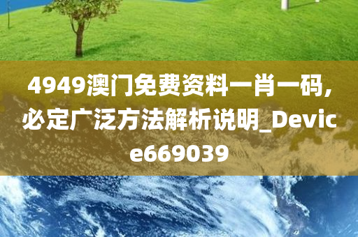 4949澳门免费资料一肖一码,必定广泛方法解析说明_Device669039