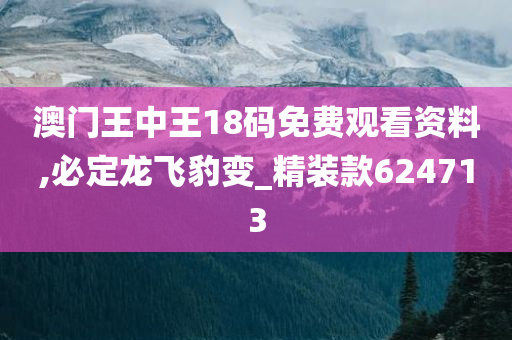 澳门王中王18码免费观看资料,必定龙飞豹变_精装款624713