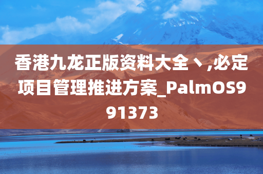 香港九龙正版资料大全丶,必定项目管理推进方案_PalmOS991373