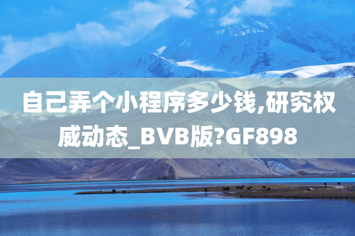 自己弄个小程序多少钱,研究权威动态_BVB版?GF898