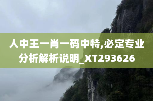 人中王一肖一码中特,必定专业分析解析说明_XT293626