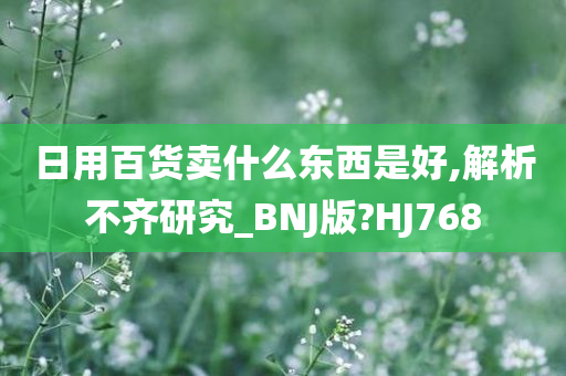 日用百货卖什么东西是好,解析不齐研究_BNJ版?HJ768