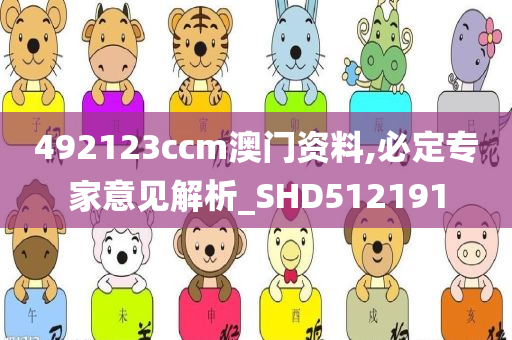 492123ccm澳门资料,必定专家意见解析_SHD512191