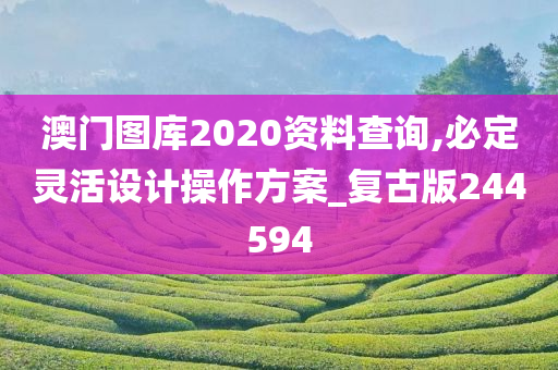 澳门图库2020资料查询,必定灵活设计操作方案_复古版244594