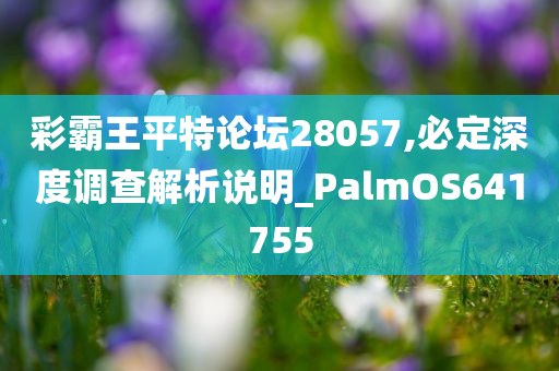 彩霸王平特论坛28057,必定深度调查解析说明_PalmOS641755