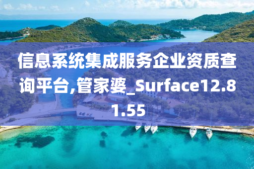 信息系统集成服务企业资质查询平台,管家婆_Surface12.81.55