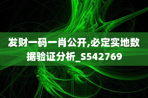 发财一码一肖公开,必定实地数据验证分析_S542769