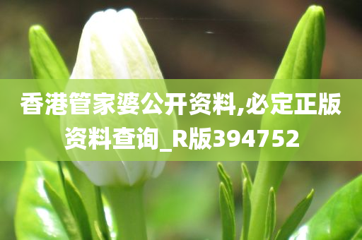 香港管家婆公开资料,必定正版资料查询_R版394752