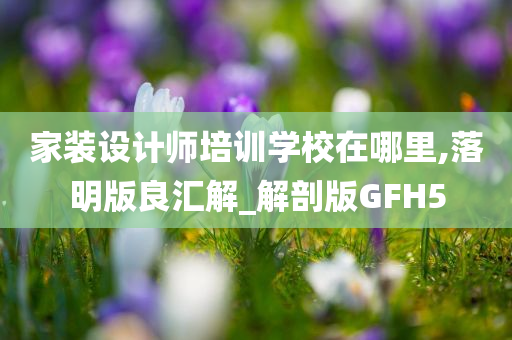 家装设计师培训学校在哪里,落明版良汇解_解剖版GFH5