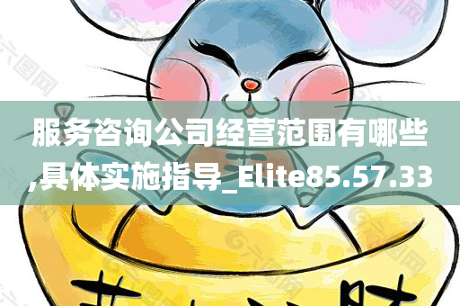 服务咨询公司经营范围有哪些,具体实施指导_Elite85.57.33