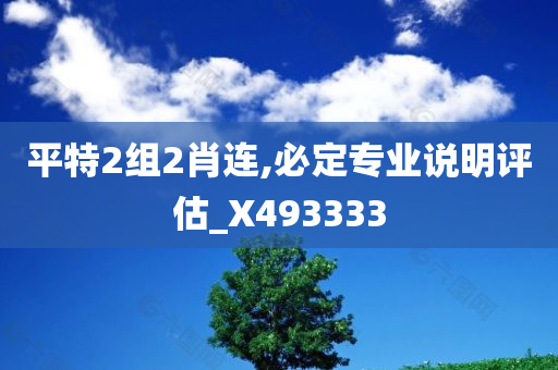 平特2组2肖连,必定专业说明评估_X493333