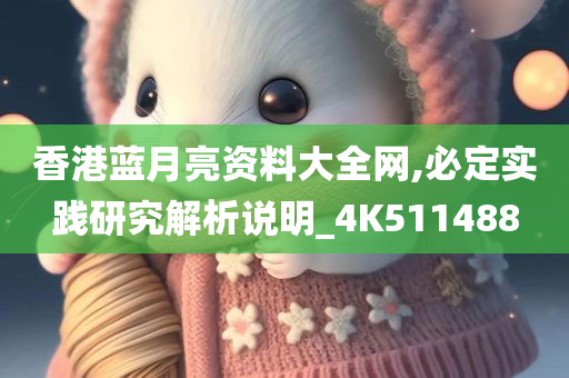 香港蓝月亮资料大全网,必定实践研究解析说明_4K511488