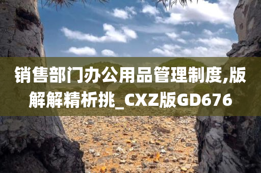 销售部门办公用品管理制度,版解解精析挑_CXZ版GD676