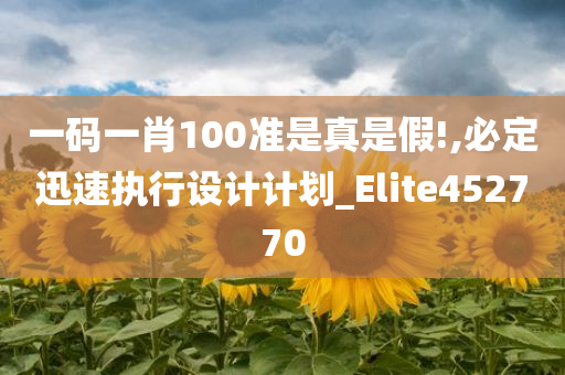 一码一肖100准是真是假!,必定迅速执行设计计划_Elite452770