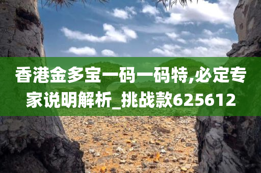 香港金多宝一码一码特,必定专家说明解析_挑战款625612