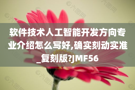 软件技术人工智能开发方向专业介绍怎么写好,确实刻动实准_复刻版?JMF56