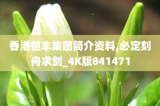 香港恒丰集团简介资料,必定刻舟求剑_4K版841471