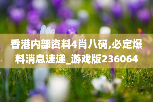 香港内部资料4肖八码,必定爆料消息速递_游戏版236064