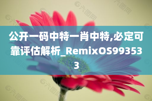 公开一码中特一肖中特,必定可靠评估解析_RemixOS993533