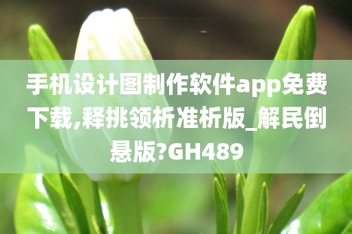 手机设计图制作软件app免费下载,释挑领析准析版_解民倒悬版?GH489