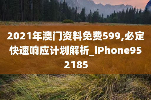 2021年澳门资料免费599,必定快速响应计划解析_iPhone952185