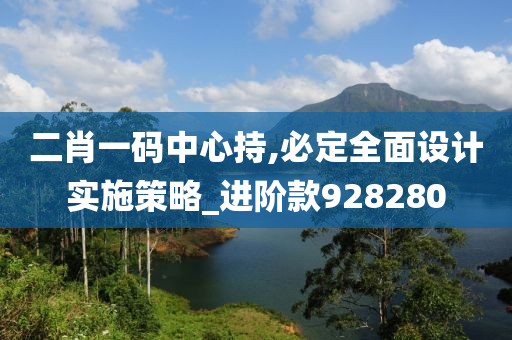 二肖一码中心持,必定全面设计实施策略_进阶款928280