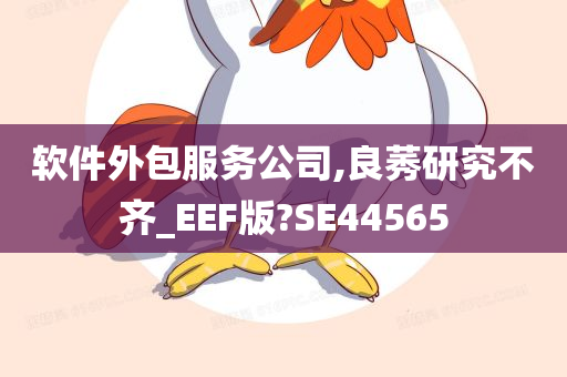 软件外包服务公司,良莠研究不齐_EEF版?SE44565