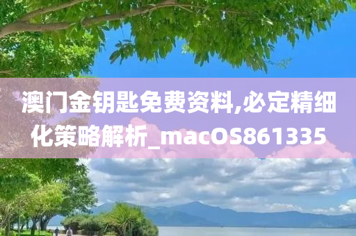 澳门金钥匙免费资料,必定精细化策略解析_macOS861335