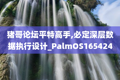 猪哥论坛平特高手,必定深层数据执行设计_PalmOS165424