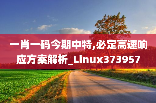 一肖一码今期中特,必定高速响应方案解析_Linux373957