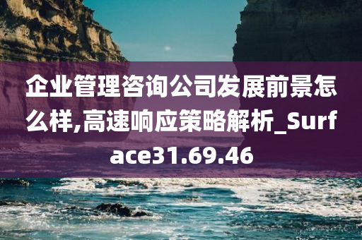 企业管理咨询公司发展前景怎么样,高速响应策略解析_Surface31.69.46