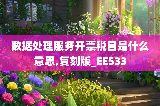 数据处理服务开票税目是什么意思,复刻版_EE533