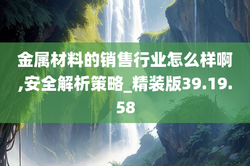 金属材料的销售行业怎么样啊,安全解析策略_精装版39.19.58