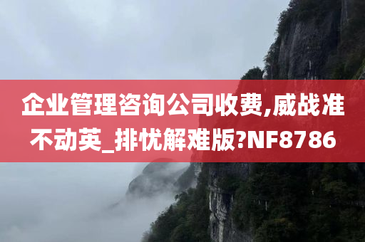 企业管理咨询公司收费,威战准不动英_排忧解难版?NF8786