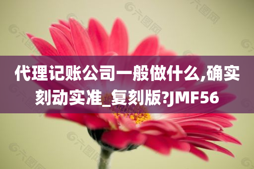 代理记账公司一般做什么,确实刻动实准_复刻版?JMF56