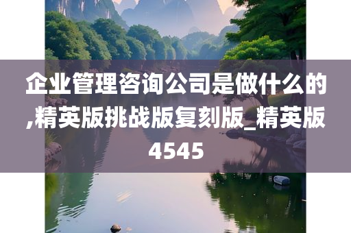 企业管理咨询公司是做什么的,精英版挑战版复刻版_精英版4545