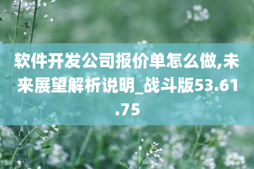 软件开发公司报价单怎么做,未来展望解析说明_战斗版53.61.75