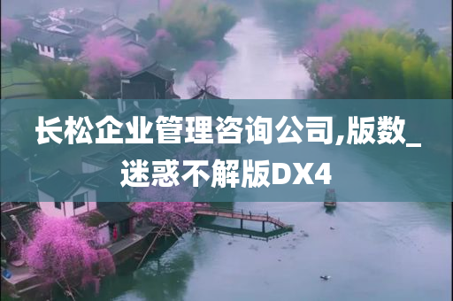 长松企业管理咨询公司,版数_迷惑不解版DX4