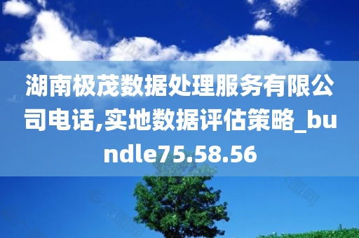 湖南极茂数据处理服务有限公司电话,实地数据评估策略_bundle75.58.56