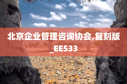 北京企业管理咨询协会,复刻版_EE533