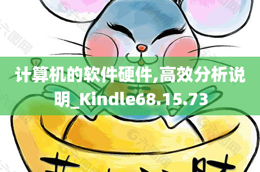 计算机的软件硬件,高效分析说明_Kindle68.15.73