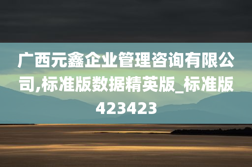 广西元鑫企业管理咨询有限公司,标准版数据精英版_标准版423423